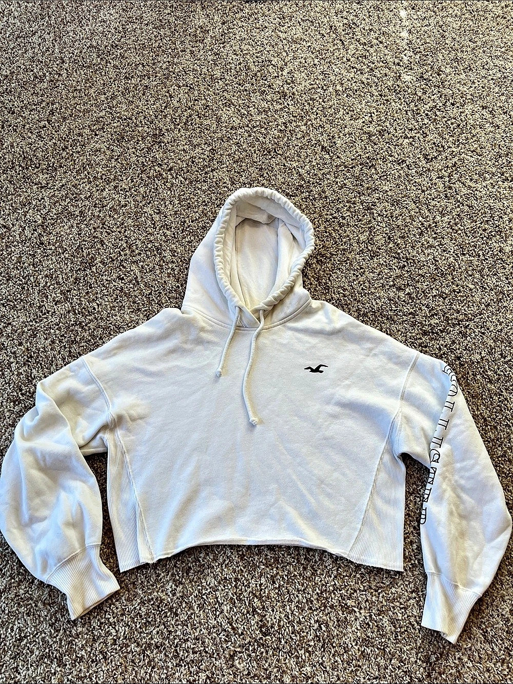 Hollister Graphic Sleeve Cropped Hoodie
